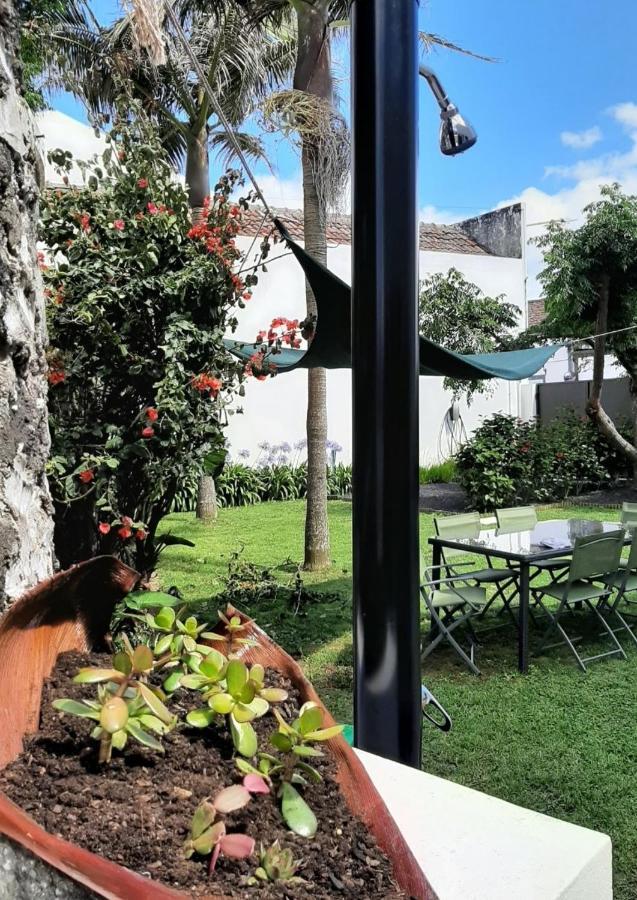 Vila Nikau - Garden By The Sea Lagoa  Esterno foto